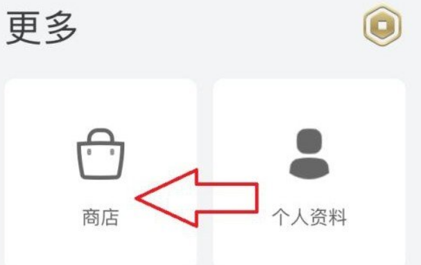 罗布乐思换不了角色