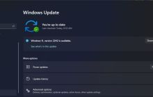 如何使用注册表解锁秘密Windows 11主题