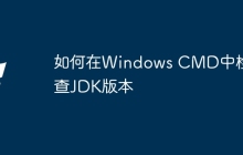 如何在Windows CMD中检查JDK版本