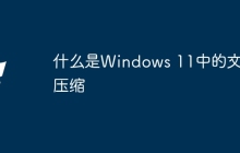 什么是Windows 11中的文件压缩