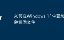 如何在Windows 11中强制删除顽固文件