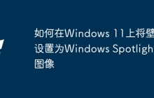 如何在Windows 11上将壁纸设置为Windows Spotlight图像