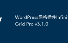 WordPress网格插件Infinite Grid Pro v3.1.0