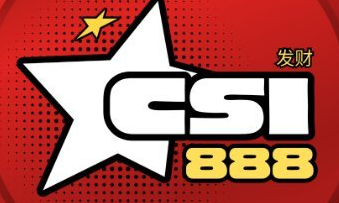 Quel est le montant en circulation des pièces CSI ?