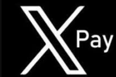 影响xpay币价格的因素有哪些?