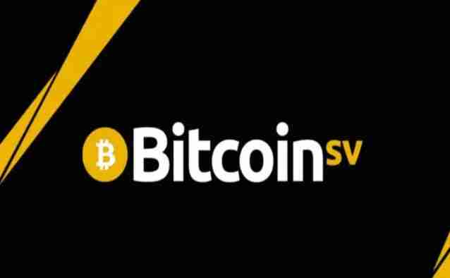 What is the future of BSV coin?