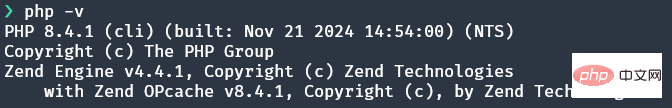 `php -v` output