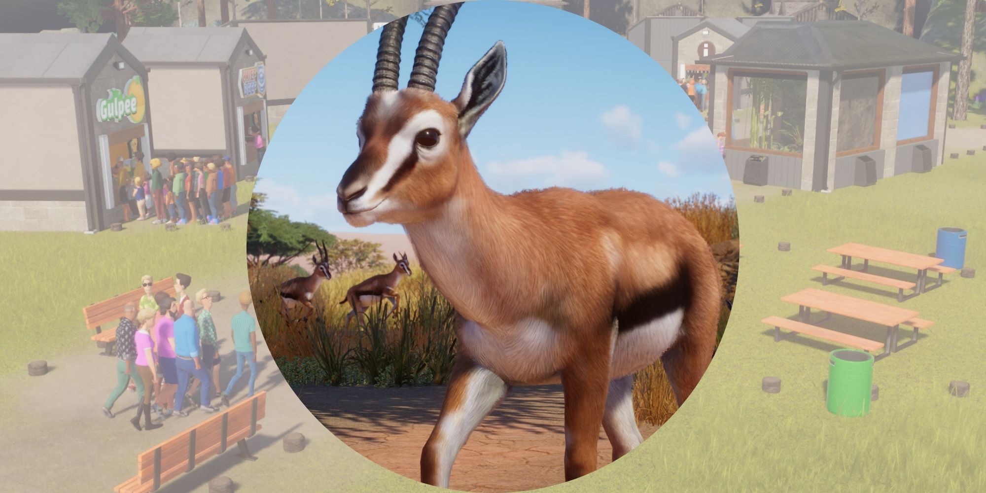 Planet Zoo: How To Reduce Animal Stress