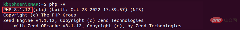 php -v 8.1 terminal output