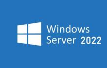 Windows 2022 系统如何修改网卡DNS？（图文）
