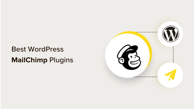 2024 年 17 個最佳 WordPress Mailchimp 插件 - 小浪云數據