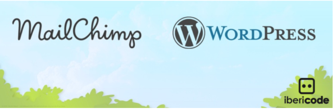 2024 年 17 個(gè)最佳 WordPress Mailchimp 插件