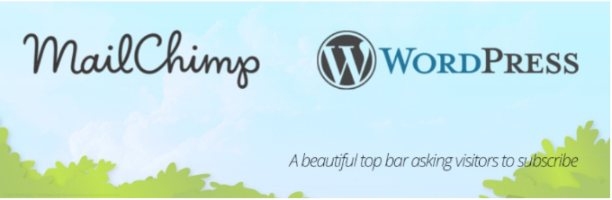 2024 年 17 個(gè)最佳 WordPress Mailchimp 插件