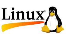 linux,cpu架构如何查看,cpu详细信息怎么查看
