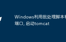 Windows利用批处理脚本判断端口, 启动tomcat