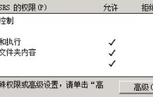 针对应用程序池的模板永久性缓存初始化失败