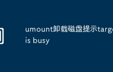 umount卸载磁盘提示target is busy