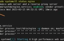 Ubuntu 22.04 LTS 上安装 Nginx 服务