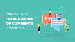 How to display the total number of comments in WordPress