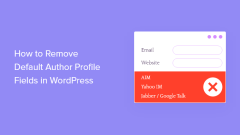 How to delete the default author profile field in WordPress