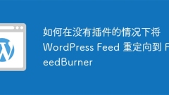 How to redirect WordPress feed to FeedBurner without plugins