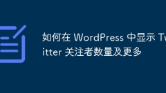 How to show Twitter followers and more in WordPress
