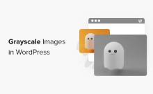How to grayscale images in WordPress