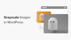 How to grayscale images in WordPress