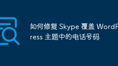 Skypeを修正する方法WordPressテーマで電話番号をオーバーライドする