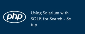 검색을 위해 Solr과 함께 Solarium 사용 - 설정