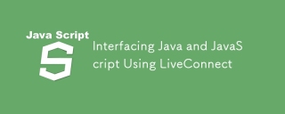 LiveConnect를 사용하여 Java 및 JavaScript를 인터페이스합니다