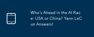Who's Ahead in the AI Race: USA or China? Yann LeCun Answers!