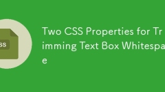 Deux propriétés CSS pour la boîte de texte de la coupe blanche espace