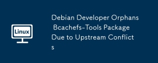 Debian 개발자 Orphans Bcachefs-Tools 패키지는 업스트림 충돌로 인해 패키지입니다