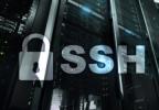 Linux的8个最佳SSH客户端