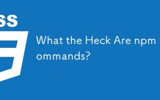 What the Heck Are npm Commands?