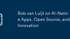 Bob van Luijt on AI-Native Apps, Open Source, and Innovation