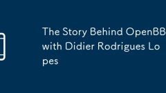 The Story Behind OpenBB with Didier Rodrigues Lopes