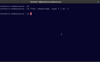Comment compter les fichiers et les répertoires dans Linux: un guide pour débutant