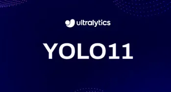 A Comprehensive Guide to YOLOv11 Object Detection