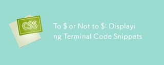 À $ ou non à $: affichage des extraits de code du terminal