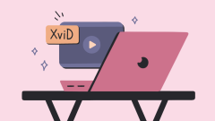 如何在Mac上播放XVID視頻
