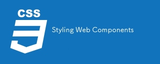Styling composants Web