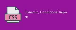 Importations dynamiques et conditionnelles