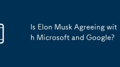 Is Elon Musk Agreeing with Microsoft and Google?