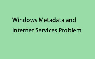 Windows Metadata and Internet Services Problem: How to Fix It?