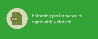 Menguatkuasakan belanjawan prestasi dengan webpack