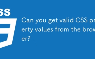 您可以从浏览器获得有效的CSS属性值吗？
