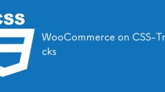 CSS-ticks上的WooCommerce