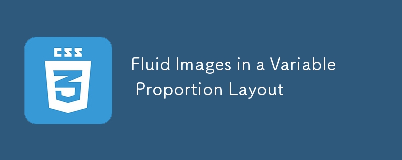 Images fluides dans une disposition de proportion variable